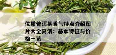 优质普洱茶香气特点介绍图片大全高清：基本特征与价格一览