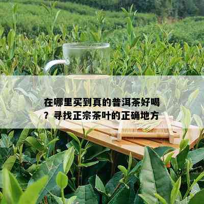 在哪里买到真的普洱茶好喝？寻找正宗茶叶的正确地方