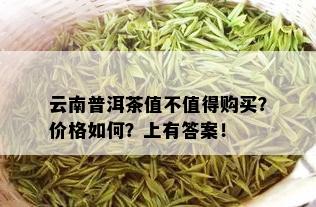 云南普洱茶值不值得购买？价格如何？上有答案！