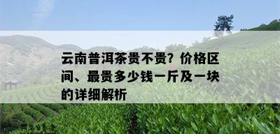 云南普洱茶贵不贵？价格区间、最贵多少钱一斤及一块的详细解析