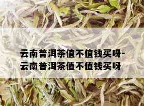 云南普洱茶值不值钱买呀-云南普洱茶值不值钱买呀