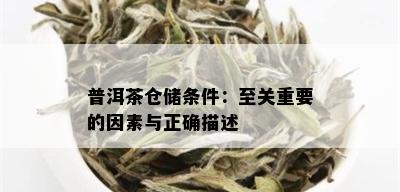 普洱茶仓储条件：至关重要的因素与正确描述