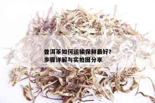 普洱茶如何运输保鲜更好？步骤详解与实拍图分享