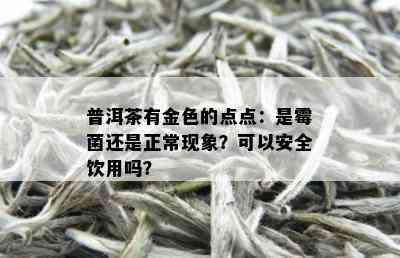 普洱茶有金色的点点：是霉菌还是正常现象？可以安全饮用吗？