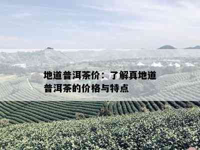 地道普洱茶价：了解真地道普洱茶的价格与特点