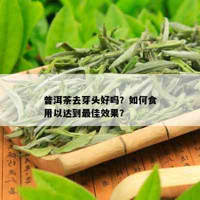 普洱茶去芽头好吗？如何食用以达到更佳效果？