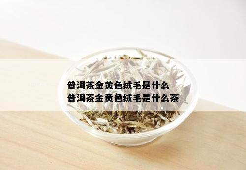 普洱茶金黄色绒毛是什么-普洱茶金黄色绒毛是什么茶