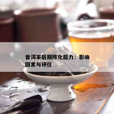 普洱茶后期陈化能力：影响因素与评价