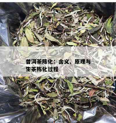 普洱茶陈化：含义、原理与生茶陈化过程