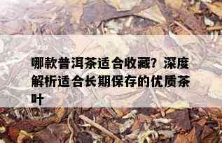 哪款普洱茶适合收藏？深度解析适合长期保存的优质茶叶