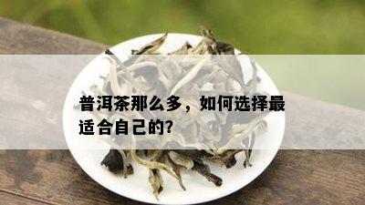 普洱茶那么多，如何选择最适合自己的？