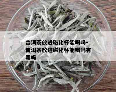 普洱茶放进磁化杯能喝吗-普洱茶放进磁化杯能喝吗有吗