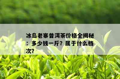 冰岛老寨普洱茶价格全揭秘：多少钱一斤？属于什么档次？