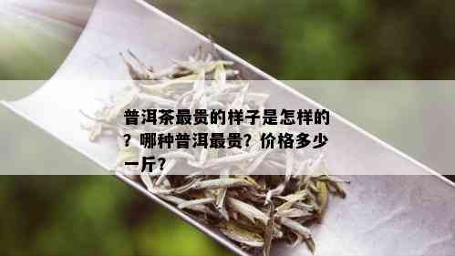 普洱茶最贵的样子是怎样的？哪种普洱最贵？价格多少一斤？