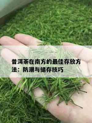 普洱茶在南方的更佳存放方法：防潮与储存技巧