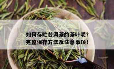 如何存贮普洱茶的茶叶呢？完整保存方法及注意事项！