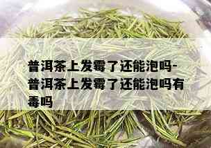 普洱茶上发霉了还能泡吗-普洱茶上发霉了还能泡吗有吗