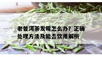 老普洱茶发霉怎么办？正确处理方法及能否饮用解析