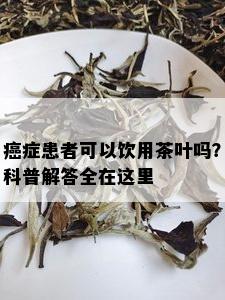 癌症患者可以饮用茶叶吗？科普解答全在这里