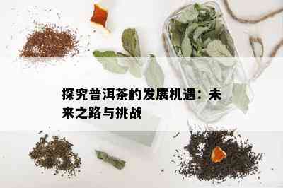 探究普洱茶的发展机遇：未来之路与挑战