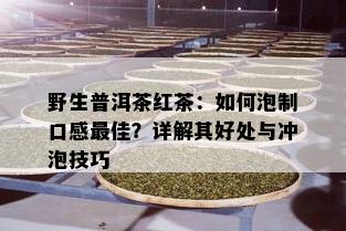 野生普洱茶红茶：如何泡制口感更佳？详解其好处与冲泡技巧