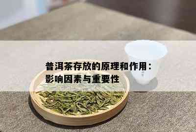 普洱茶存放的原理和作用：影响因素与重要性