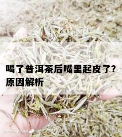 喝了普洱茶后嘴里起皮了？原因解析