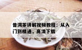 普洱茶讲解视频教程：从入门到精通，高清下载