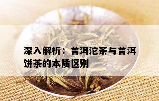 深入解析：普洱沱茶与普洱饼茶的本质区别