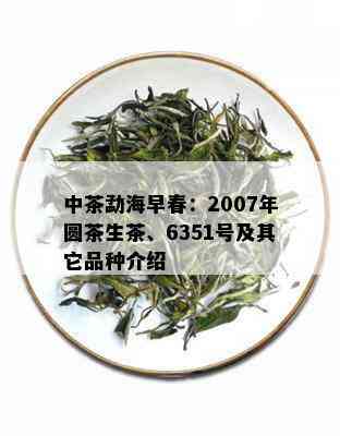 中茶勐海早春：2007年圆茶生茶、6351号及其它品种介绍