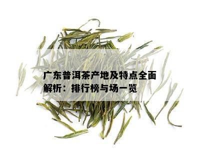 广东普洱茶产地及特点全面解析：排行榜与场一览