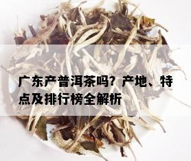 广东产普洱茶吗？产地、特点及排行榜全解析