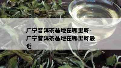 广宁普洱茶基地在哪里呀-广宁普洱茶基地在哪里呀最近