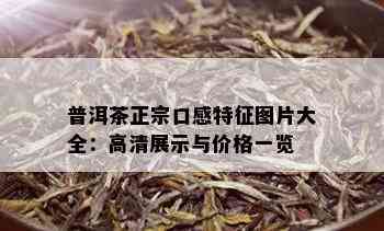 普洱茶正宗口感特征图片大全：高清展示与价格一览