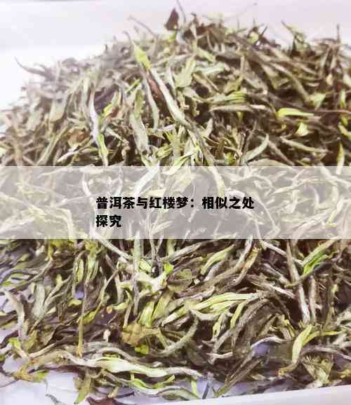 普洱茶与红楼梦：相似之处探究