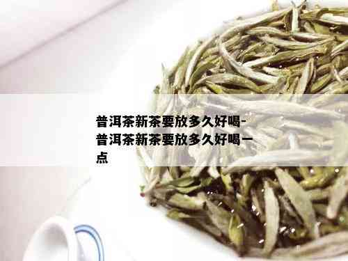 普洱茶新茶要放多久好喝-普洱茶新茶要放多久好喝一点