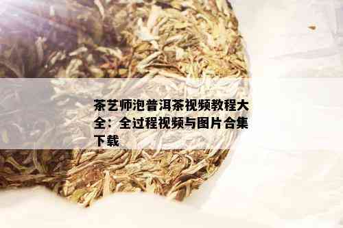 茶艺师泡普洱茶视频教程大全：全过程视频与图片合集下载