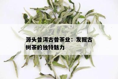 源头普洱古普茶业：发掘古树茶的独特魅力