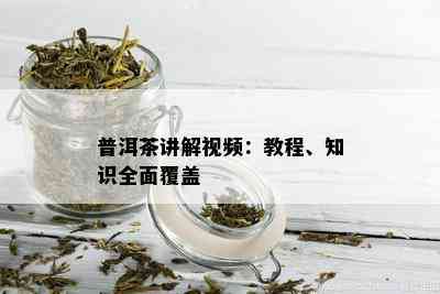 普洱茶讲解视频：教程、知识全面覆盖