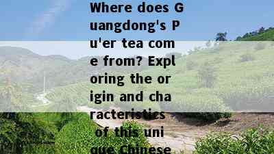 Where does Guangdong's Pu'er tea come from? Exploring the origin and characteristics of this unique Chinese tea.