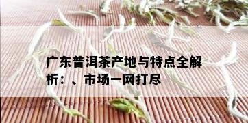 广东普洱茶产地与特点全解析：、市场一网打尽