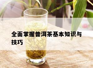 全面掌握普洱茶基本知识与技巧