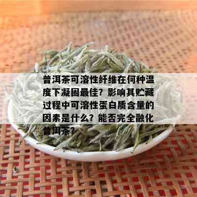 普洱茶可溶性纤维在何种温度下凝固更佳？影响其贮藏过程中可溶性蛋白质含量的因素是什么？能否完全融化普洱茶？