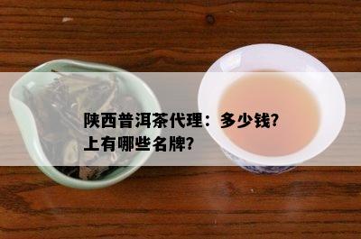 陕西普洱茶代理：多少钱？上有哪些名牌？