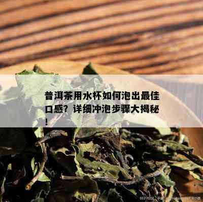 普洱茶用水杯如何泡出更佳口感？详细冲泡步骤大揭秘！