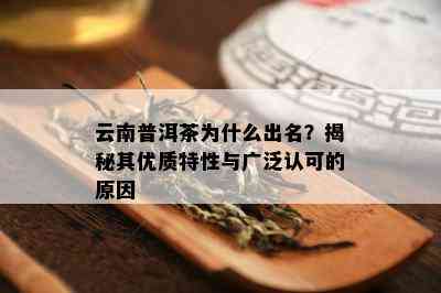 云南普洱茶为什么出名？揭秘其优质特性与广泛认可的原因