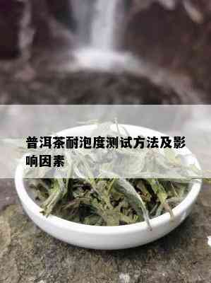 普洱茶耐泡度测试方法及影响因素