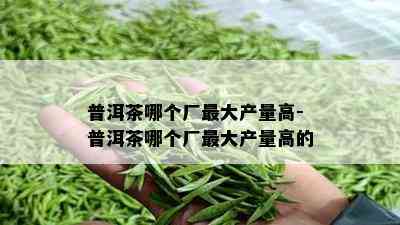 普洱茶哪个厂更大产量高-普洱茶哪个厂更大产量高的