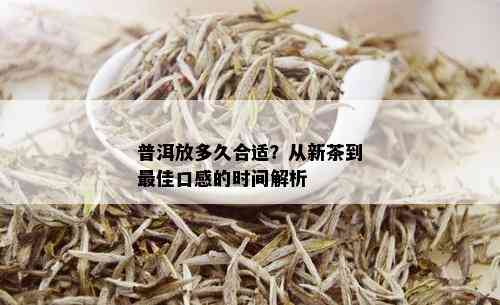 普洱放多久合适？从新茶到更佳口感的时间解析