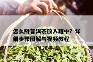 怎么掰普洱茶放入罐中？详细步骤图解与视频教程